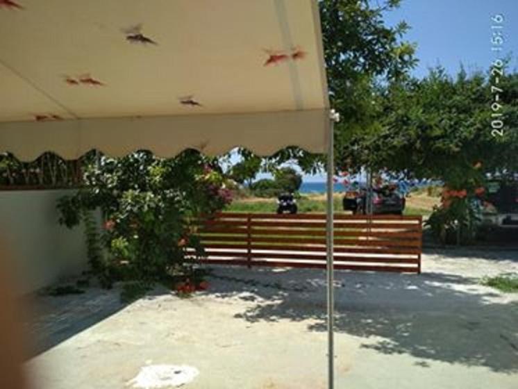 Kitesurf Paradise Studios Theológos Exteriör bild